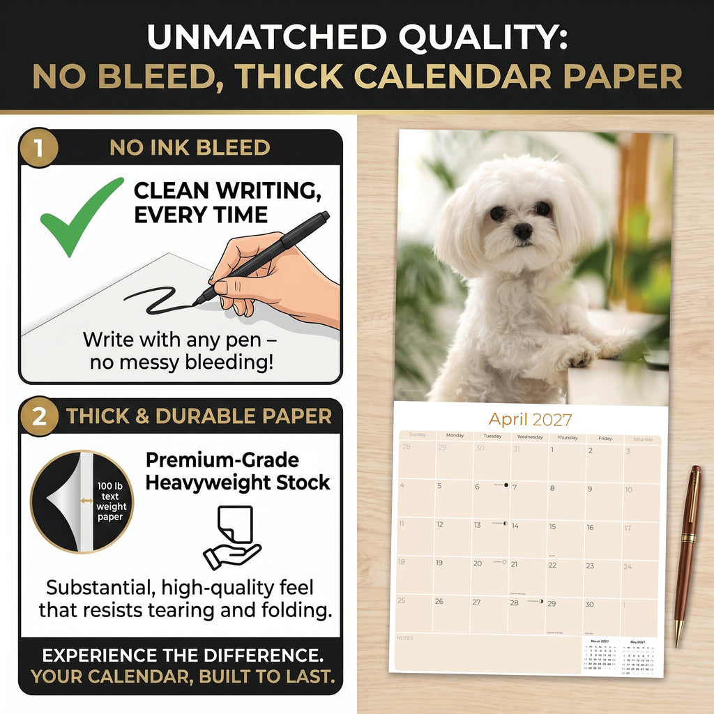 Maltese Wall Calendar 2027 - 12" x 12" Monthly Snow-White Silk Toy & Affectionate Lap Dog Calendar