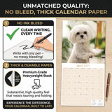 Maltese Wall Calendar 2027 - 12" x 12" Monthly Snow-White Silk Toy & Affectionate Lap Dog Calendar