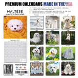 Maltese Wall Calendar 2027 - 12" x 12" Monthly Snow-White Silk Toy & Affectionate Lap Dog Calendar