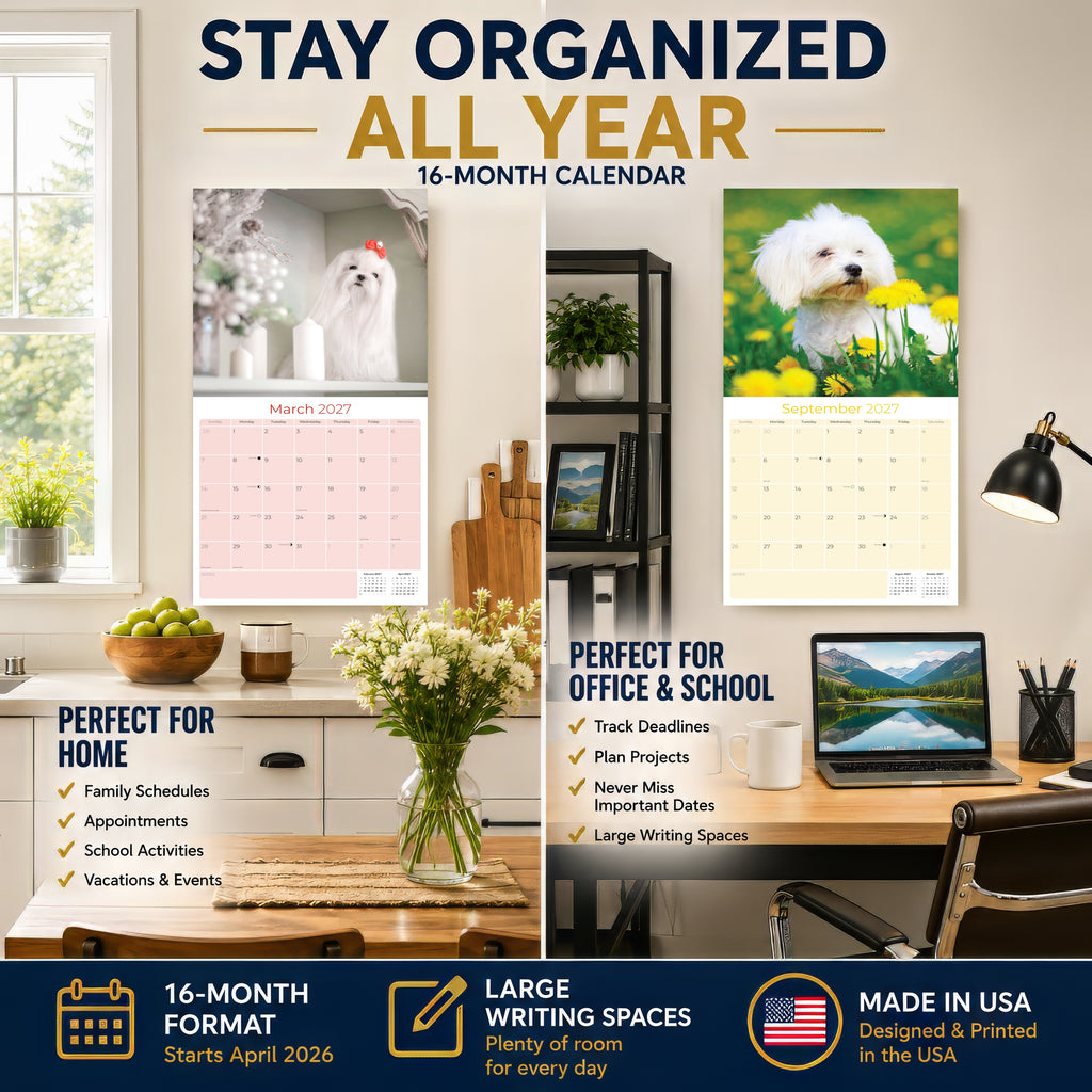 Maltese Wall Calendar 2027 - 12" x 12" Monthly Snow-White Silk Toy & Affectionate Lap Dog Calendar