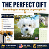 Maltese Wall Calendar 2027 - 12" x 12" Monthly Snow-White Silk Toy & Affectionate Lap Dog Calendar