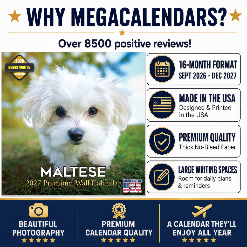 Maltese Wall Calendar 2027 - 12" x 12" Monthly Snow-White Silk Toy & Affectionate Lap Dog Calendar