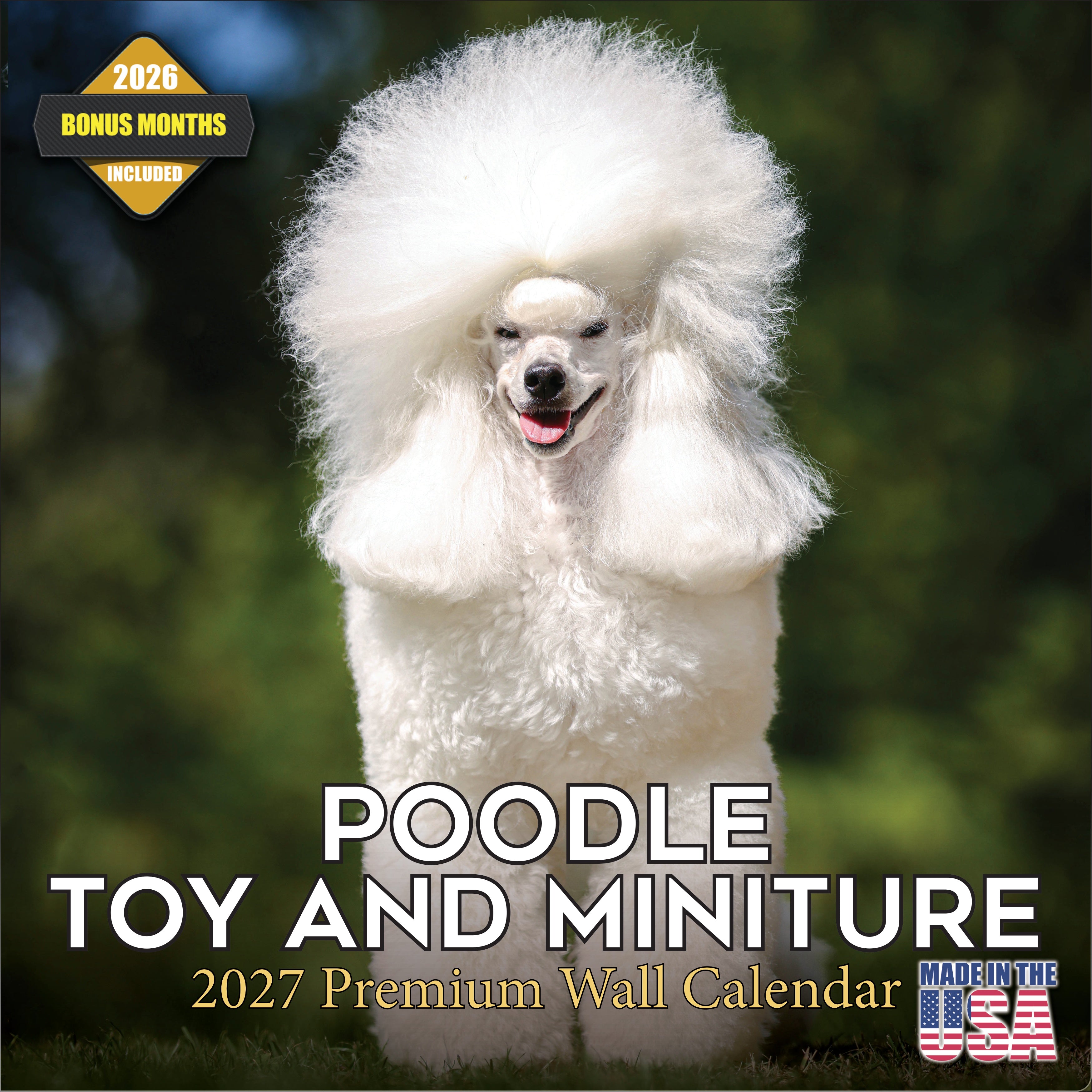 Poodle Toy & Miniature Wall Calendar 2027 - 12