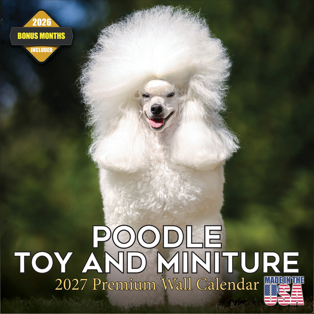 Poodle Toy & Miniature Wall Calendar 2027 - 12" x 12" Monthly Spirited & Affectionate Small Poodle Breed Calendar