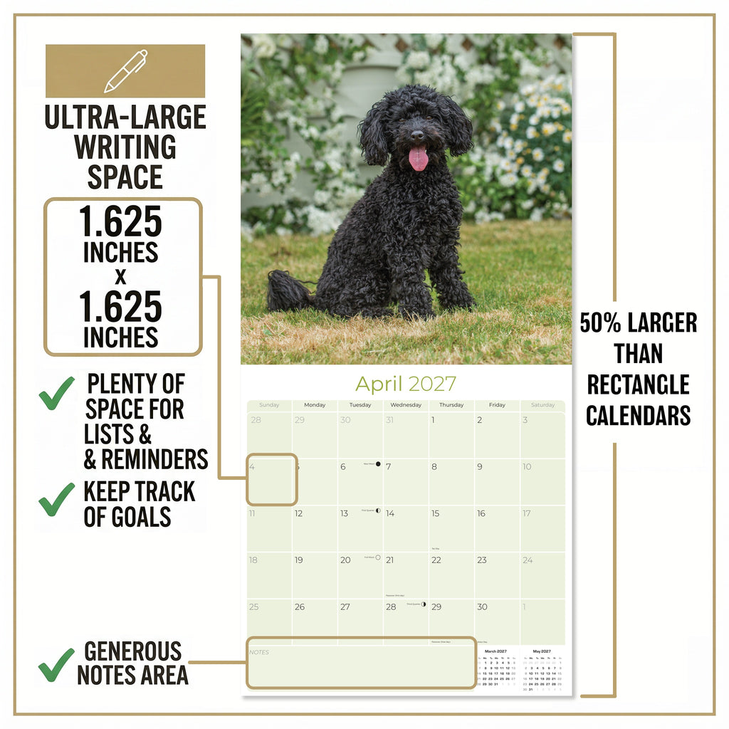 Poodle Toy & Miniature Wall Calendar 2027 - 12" x 12" Monthly Spirited & Affectionate Small Poodle Breed Calendar