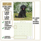 Poodle Toy & Miniature Wall Calendar 2027 - 12" x 12" Monthly Spirited & Affectionate Small Poodle Breed Calendar