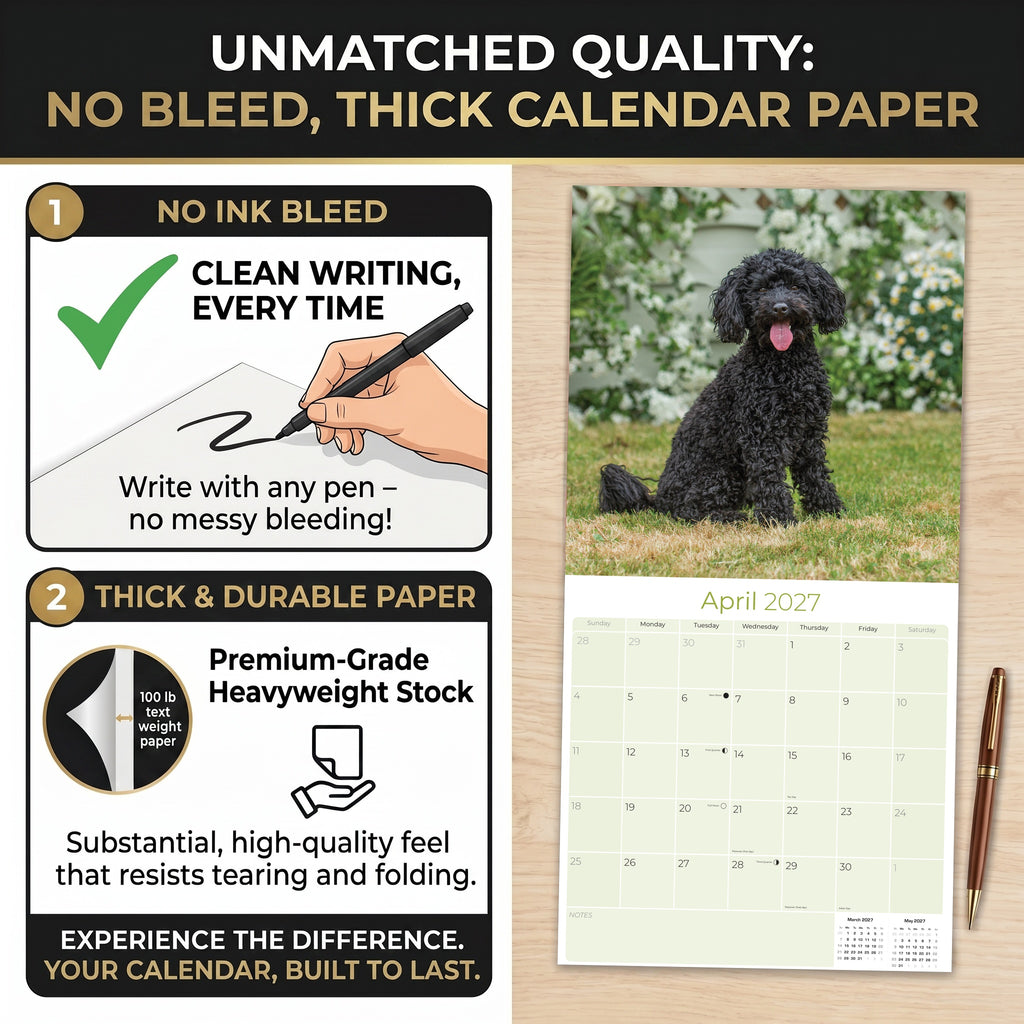 Poodle Toy & Miniature Wall Calendar 2027 - 12" x 12" Monthly Spirited & Affectionate Small Poodle Breed Calendar