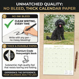 Poodle Toy & Miniature Wall Calendar 2027 - 12" x 12" Monthly Spirited & Affectionate Small Poodle Breed Calendar