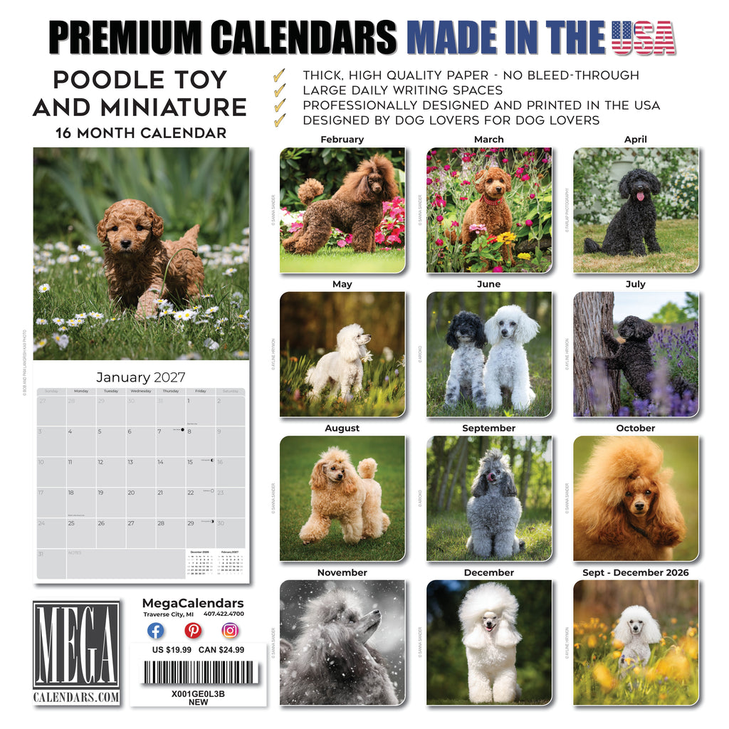 Poodle Toy & Miniature Wall Calendar 2027 - 12" x 12" Monthly Spirited & Affectionate Small Poodle Breed Calendar