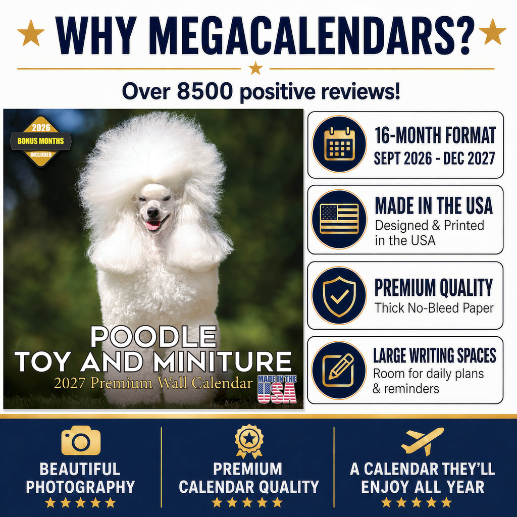 Poodle Toy & Miniature Wall Calendar 2027 - 12" x 12" Monthly Spirited & Affectionate Small Poodle Breed Calendar
