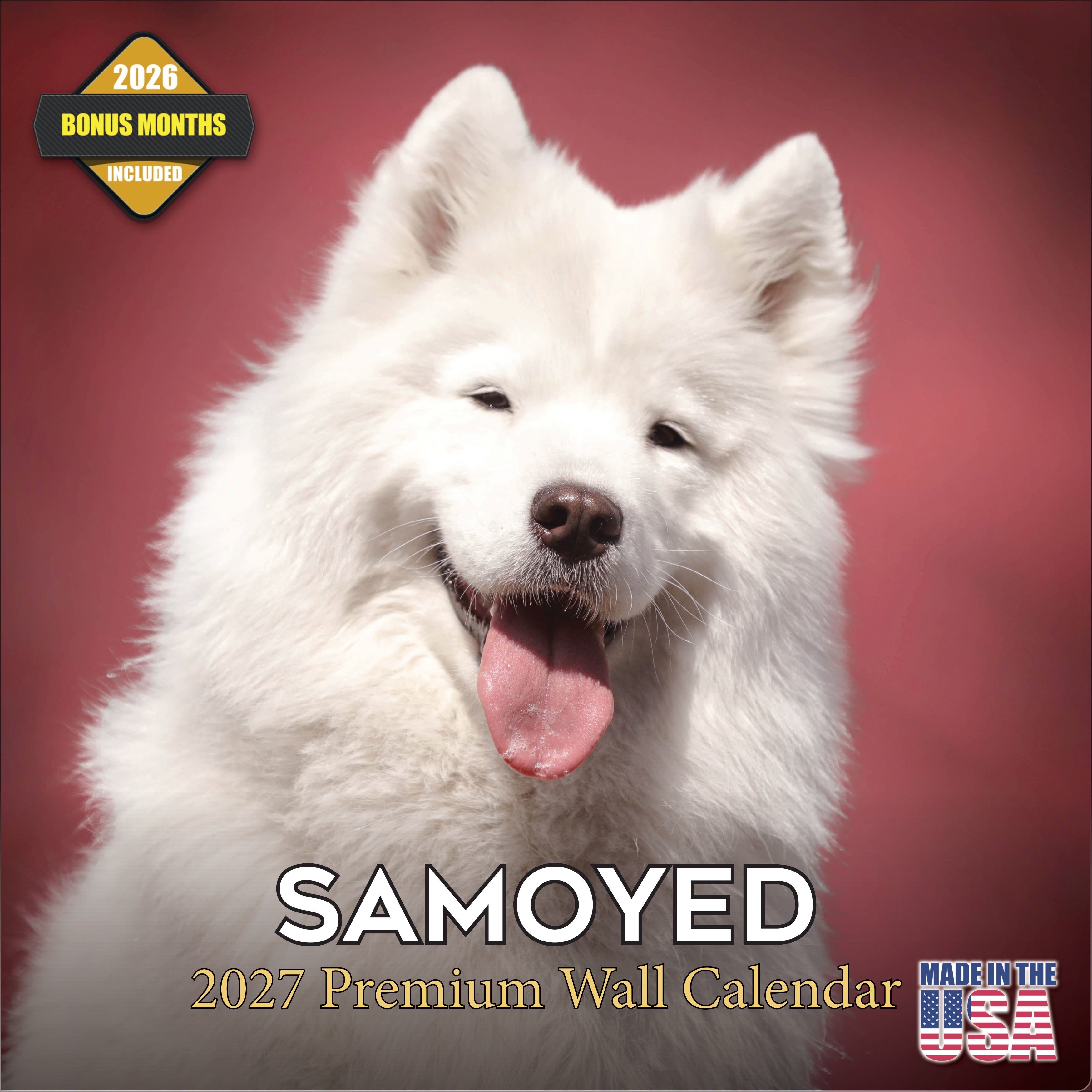 Samoyed Wall Calendar 2027 - 12