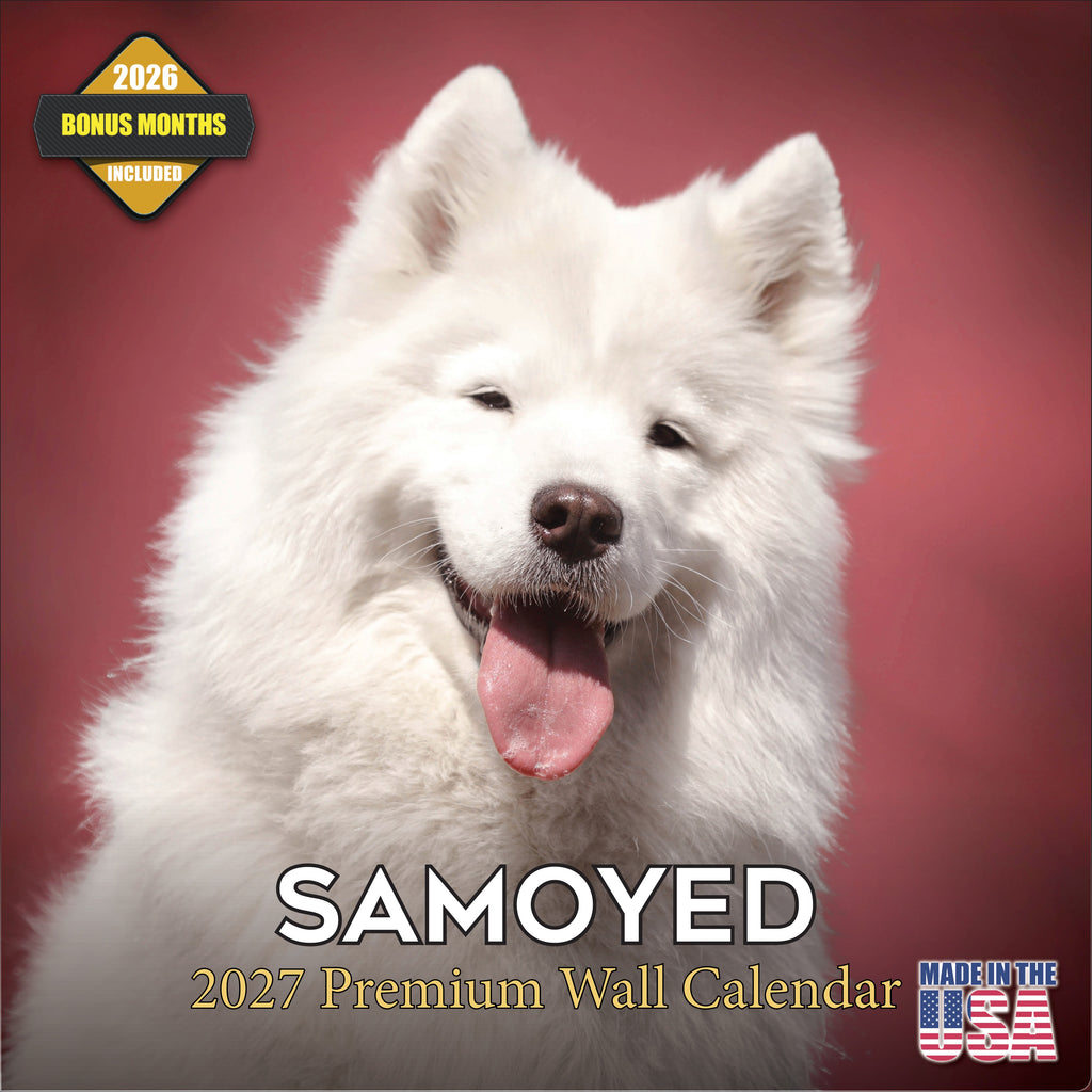 Samoyed Wall Calendar 2027 - 12" x 12" Monthly Friendly & Graceful Samoyed Dog Breed Calendar