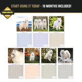 Samoyed Wall Calendar 2027 - 12" x 12" Monthly Friendly & Graceful Samoyed Dog Breed Calendar