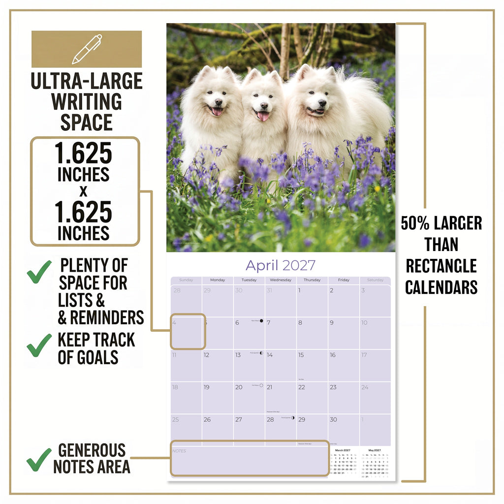 Samoyed Wall Calendar 2027 - 12" x 12" Monthly Friendly & Graceful Samoyed Dog Breed Calendar