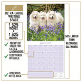 Samoyed Wall Calendar 2027 - 12" x 12" Monthly Friendly & Graceful Samoyed Dog Breed Calendar