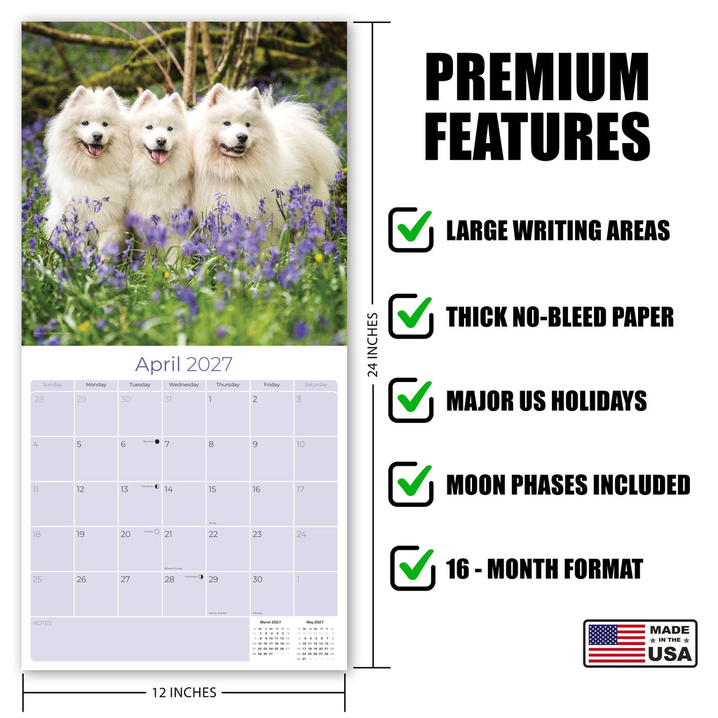 Samoyed Wall Calendar 2027 - 12" x 12" Monthly Friendly & Graceful Samoyed Dog Breed Calendar