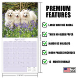 Samoyed Wall Calendar 2027 - 12" x 12" Monthly Friendly & Graceful Samoyed Dog Breed Calendar