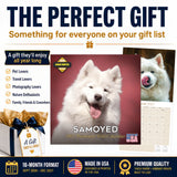 Samoyed Wall Calendar 2027 - 12" x 12" Monthly Friendly & Graceful Samoyed Dog Breed Calendar