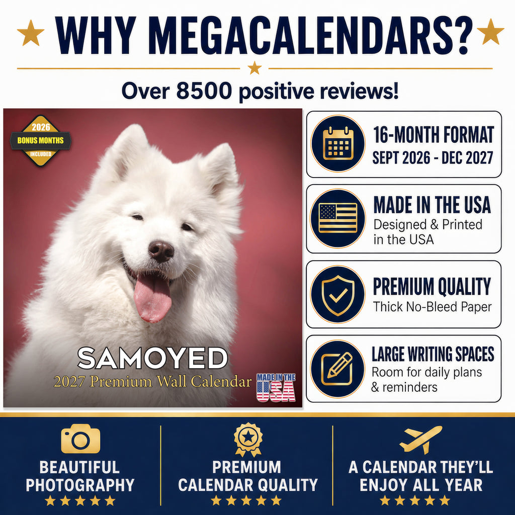 Samoyed Wall Calendar 2027 - 12" x 12" Monthly Friendly & Graceful Samoyed Dog Breed Calendar