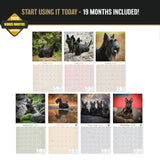 Scottish Terrier Wall Calendar 2027 - 12" x 12" Monthly Dignified & Determined Scottie Dog Breed Calendar