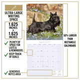 Scottish Terrier Wall Calendar 2027 - 12" x 12" Monthly Dignified & Determined Scottie Dog Breed Calendar