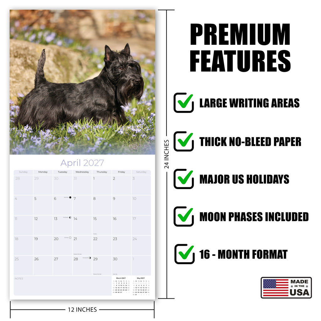 Scottish Terrier Wall Calendar 2027 - 12" x 12" Monthly Dignified & Determined Scottie Dog Breed Calendar