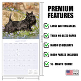 Scottish Terrier Wall Calendar 2027 - 12" x 12" Monthly Dignified & Determined Scottie Dog Breed Calendar