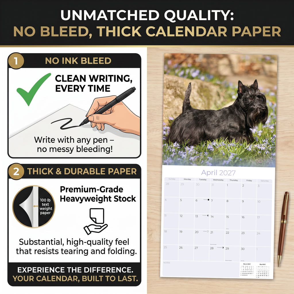 Scottish Terrier Wall Calendar 2027 - 12" x 12" Monthly Dignified & Determined Scottie Dog Breed Calendar