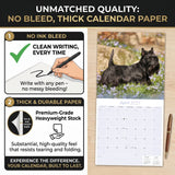 Scottish Terrier Wall Calendar 2027 - 12" x 12" Monthly Dignified & Determined Scottie Dog Breed Calendar