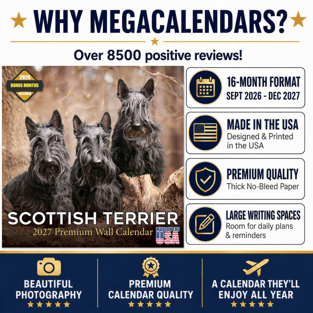 Scottish Terrier Wall Calendar 2027 - 12" x 12" Monthly Dignified & Determined Scottie Dog Breed Calendar