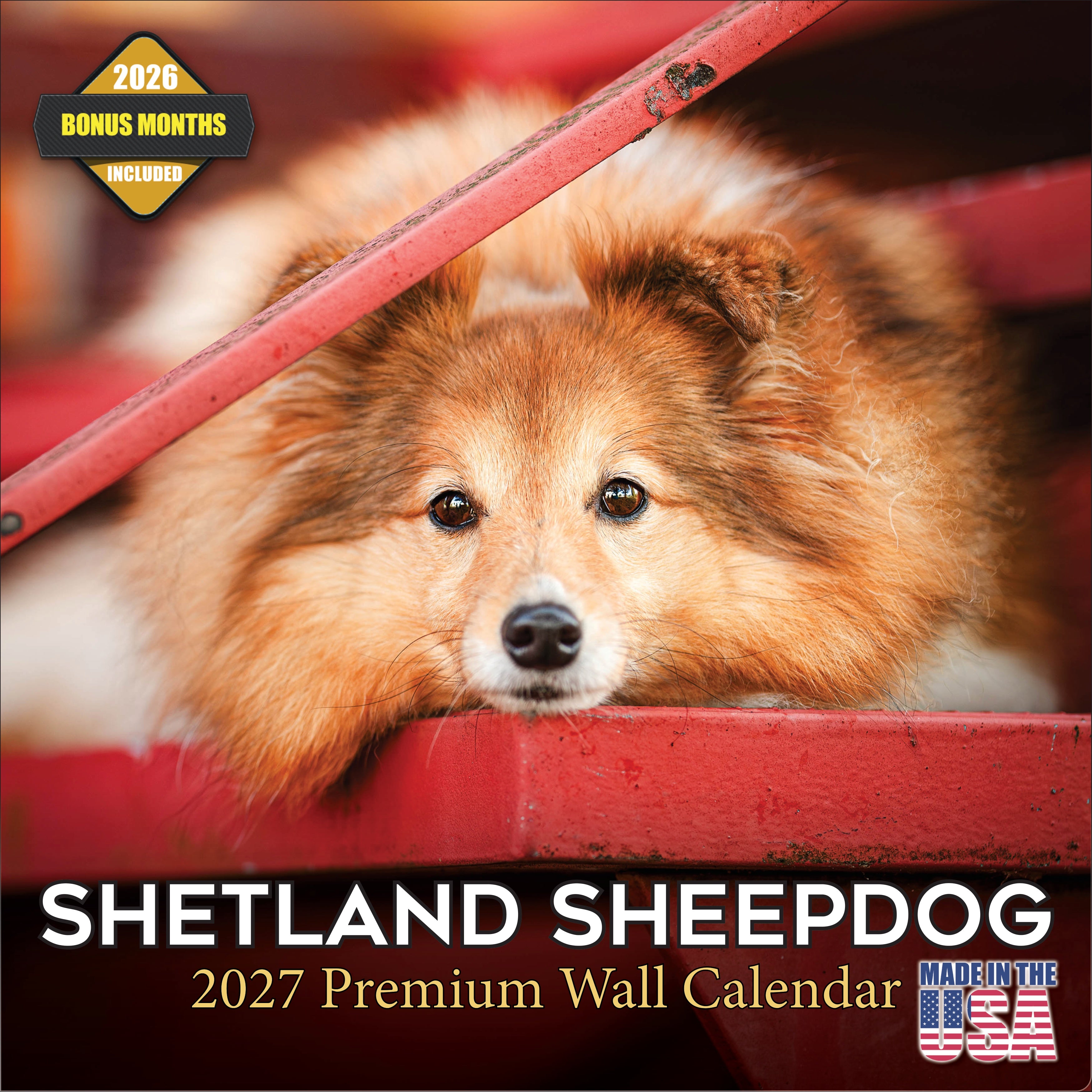 Shetland Sheepdog Wall Calendar 2027 - 12