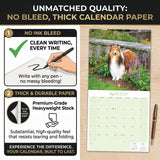 Shetland Sheepdog Wall Calendar 2027 - 12" x 12" Monthly Bright & Loyal Sheltie Herding Dog Breed Calendar