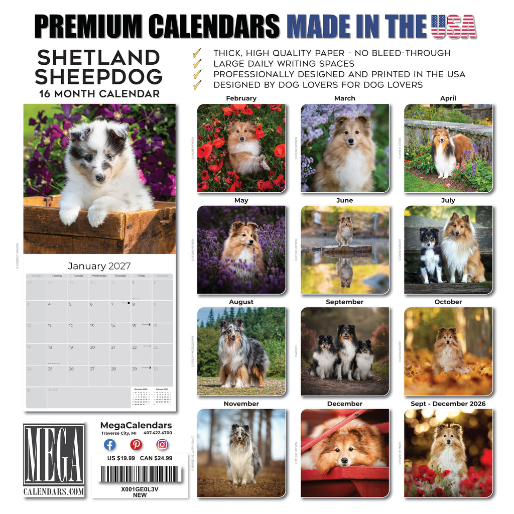 Shetland Sheepdog Wall Calendar 2027 - 12" x 12" Monthly Bright & Loyal Sheltie Herding Dog Breed Calendar