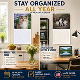 Shetland Sheepdog Wall Calendar 2027 - 12" x 12" Monthly Bright & Loyal Sheltie Herding Dog Breed Calendar