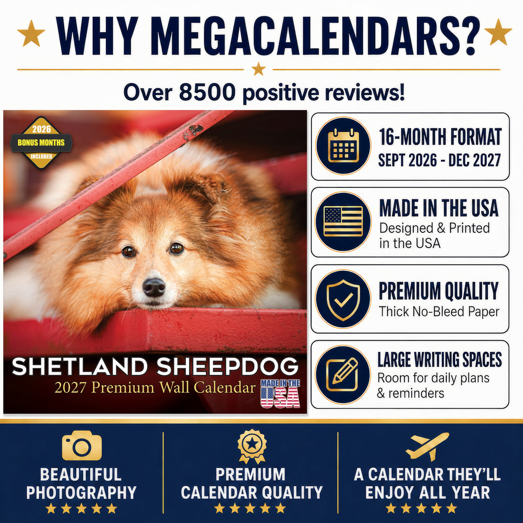 Shetland Sheepdog Wall Calendar 2027 - 12" x 12" Monthly Bright & Loyal Sheltie Herding Dog Breed Calendar