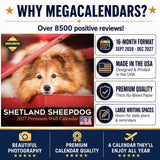 Shetland Sheepdog Wall Calendar 2027 - 12" x 12" Monthly Bright & Loyal Sheltie Herding Dog Breed Calendar