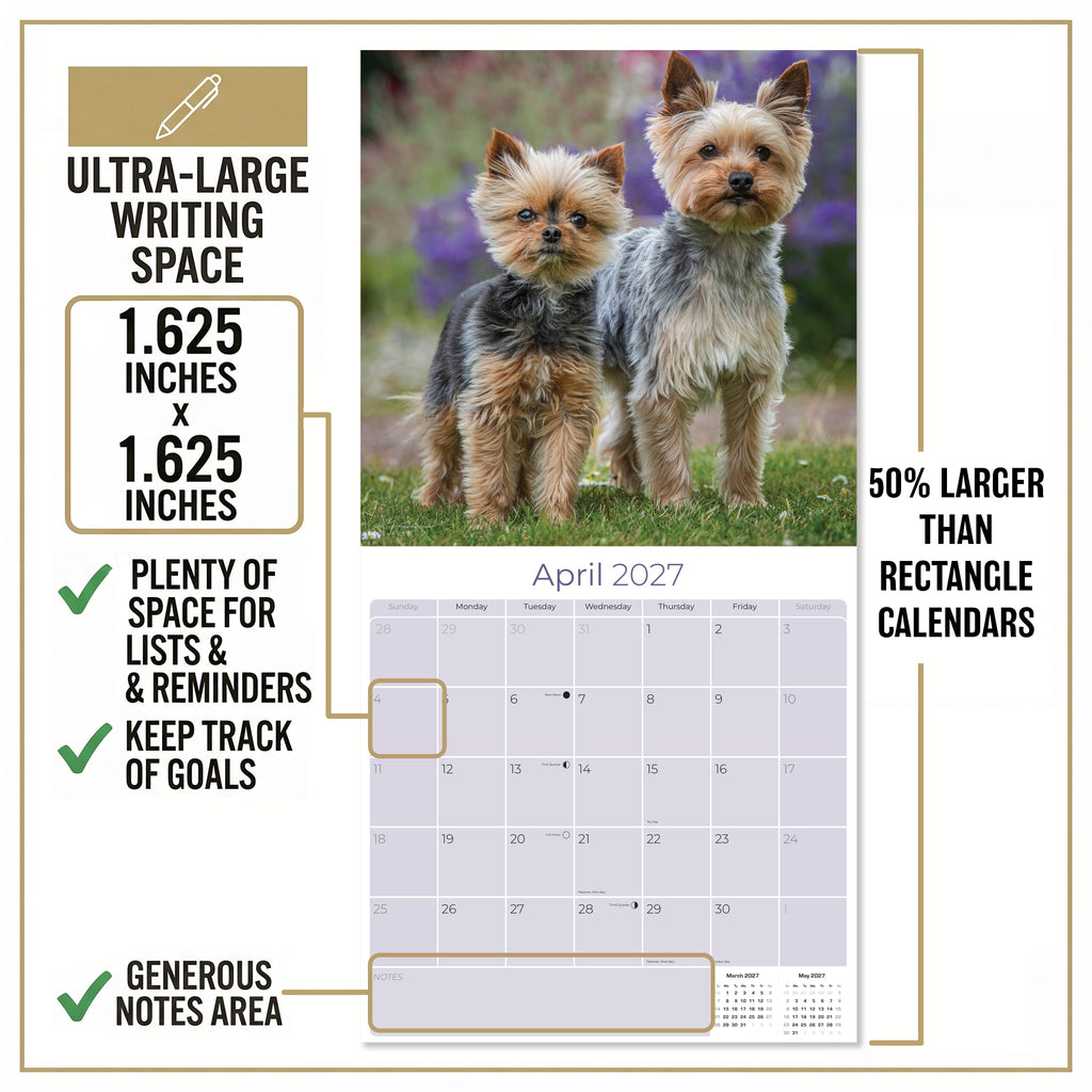 Yorkshire Terrier Wall Calendar 2027 - 12" x 12" Monthly Bold & Affectionate Yorkie Dog Breed Calendar