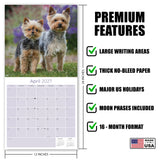 Yorkshire Terrier Wall Calendar 2027 - 12" x 12" Monthly Bold & Affectionate Yorkie Dog Breed Calendar
