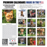 Yorkshire Terrier Wall Calendar 2027 - 12" x 12" Monthly Bold & Affectionate Yorkie Dog Breed Calendar