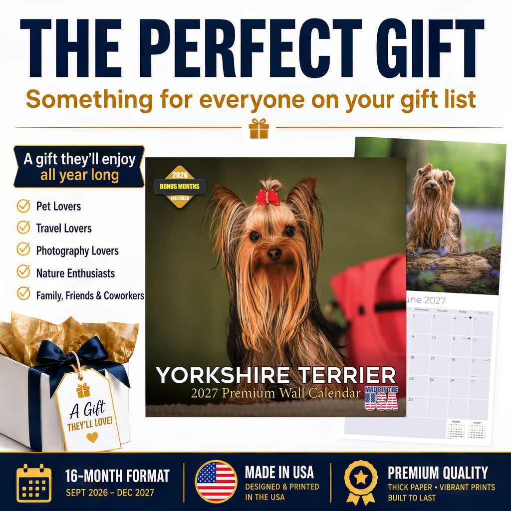 Yorkshire Terrier Wall Calendar 2027 - 12" x 12" Monthly Bold & Affectionate Yorkie Dog Breed Calendar