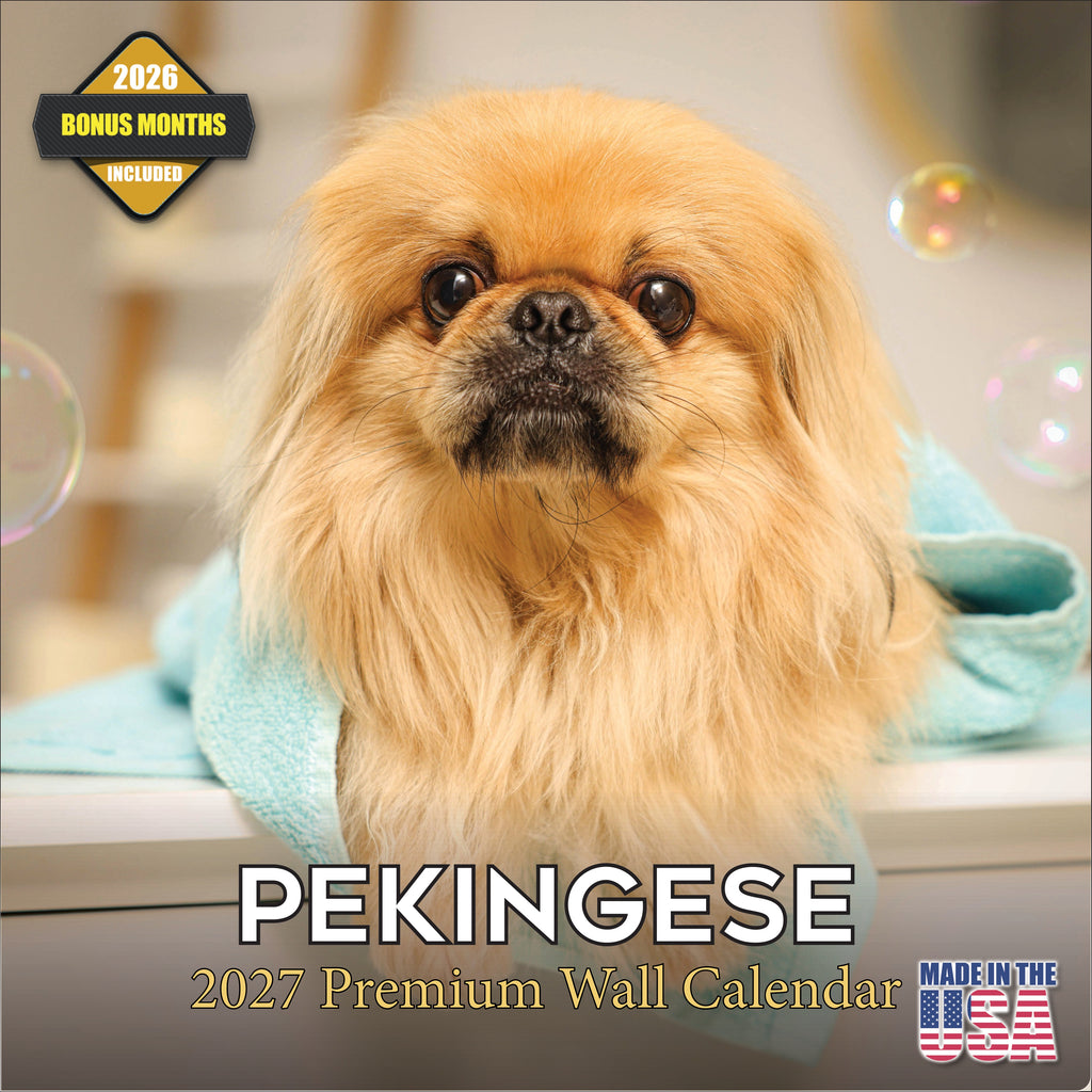 Pekingese Wall Calendar 2027 - 12" x 12" Monthly Regal Lion Dog & Ancient Toy Companion Calendar