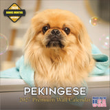 Pekingese Wall Calendar 2027 - 12" x 12" Monthly Regal Lion Dog & Ancient Toy Companion Calendar