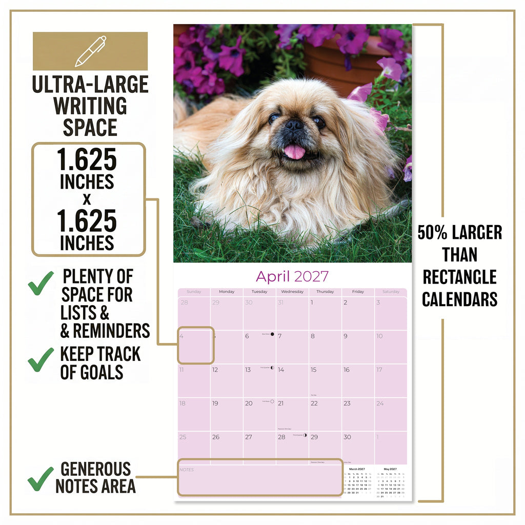 Pekingese Wall Calendar 2027 - 12" x 12" Monthly Regal Lion Dog & Ancient Toy Companion Calendar