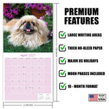 Pekingese Wall Calendar 2027 - 12" x 12" Monthly Regal Lion Dog & Ancient Toy Companion Calendar