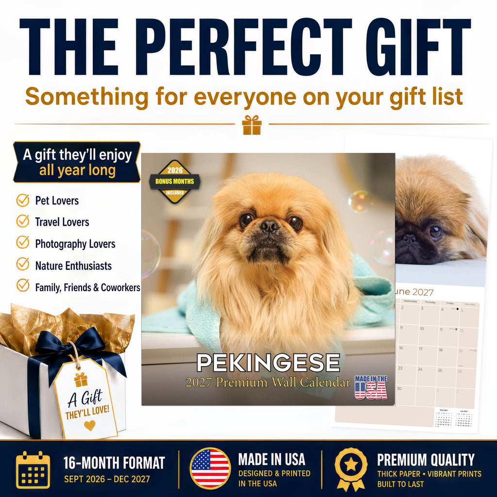 Pekingese Wall Calendar 2027 - 12" x 12" Monthly Regal Lion Dog & Ancient Toy Companion Calendar