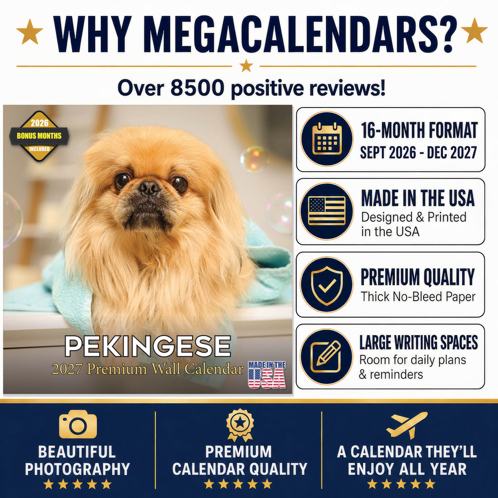 Pekingese Wall Calendar 2027 - 12" x 12" Monthly Regal Lion Dog & Ancient Toy Companion Calendar