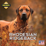 Rhodesian Ridgeback Wall Calendar 2027 - 12" x 12" Monthly Powerful & Dignified Ridgeback Dog Breed Calendar