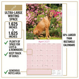 Rhodesian Ridgeback Wall Calendar 2027 - 12" x 12" Monthly Powerful & Dignified Ridgeback Dog Breed Calendar
