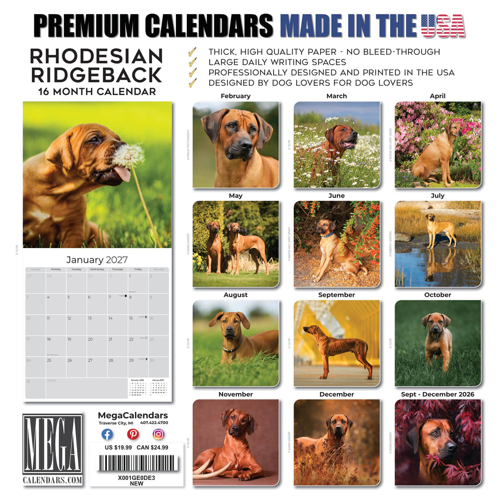 Rhodesian Ridgeback Wall Calendar 2027 - 12" x 12" Monthly Powerful & Dignified Ridgeback Dog Breed Calendar