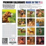 Rhodesian Ridgeback Wall Calendar 2027 - 12" x 12" Monthly Powerful & Dignified Ridgeback Dog Breed Calendar